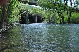 Frankstown Branch of the Juniata River