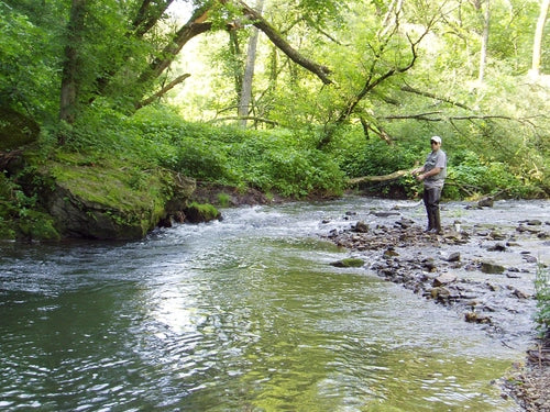 Trout Fishing